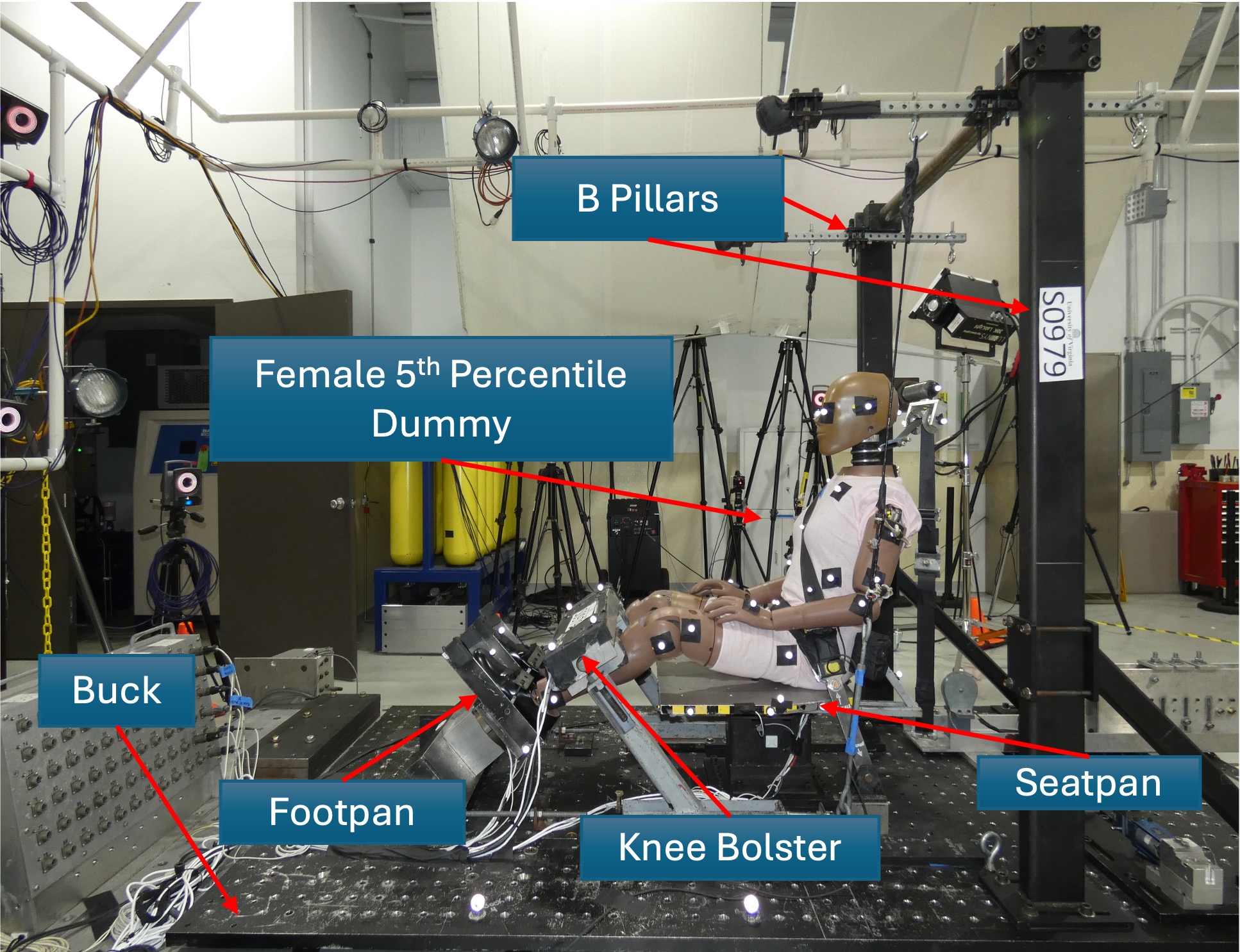 University of Virginia Center for Applied Biomechanics photo 3